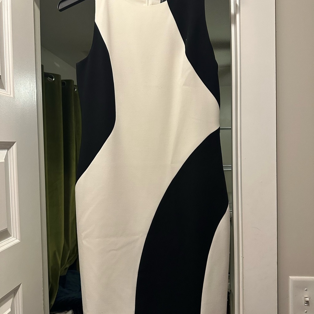 Ann Taylor Elegant Black and White Women's Dress- 8